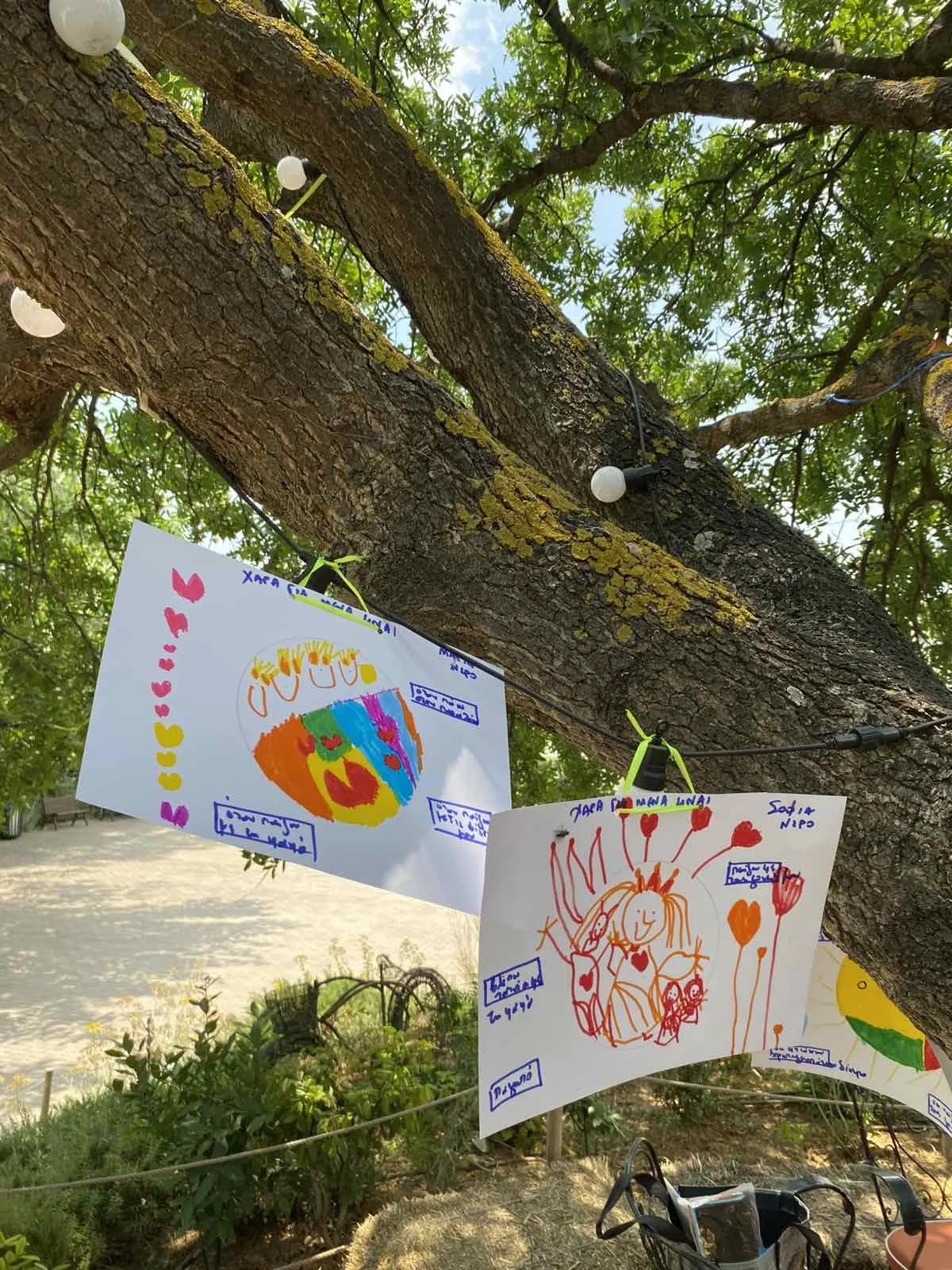 Summer Camp 2026 — 1