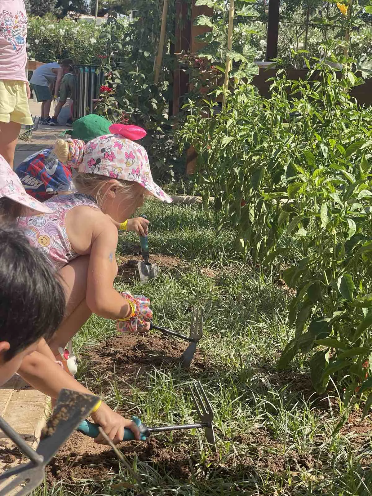 Summer Camp 2026 — 3