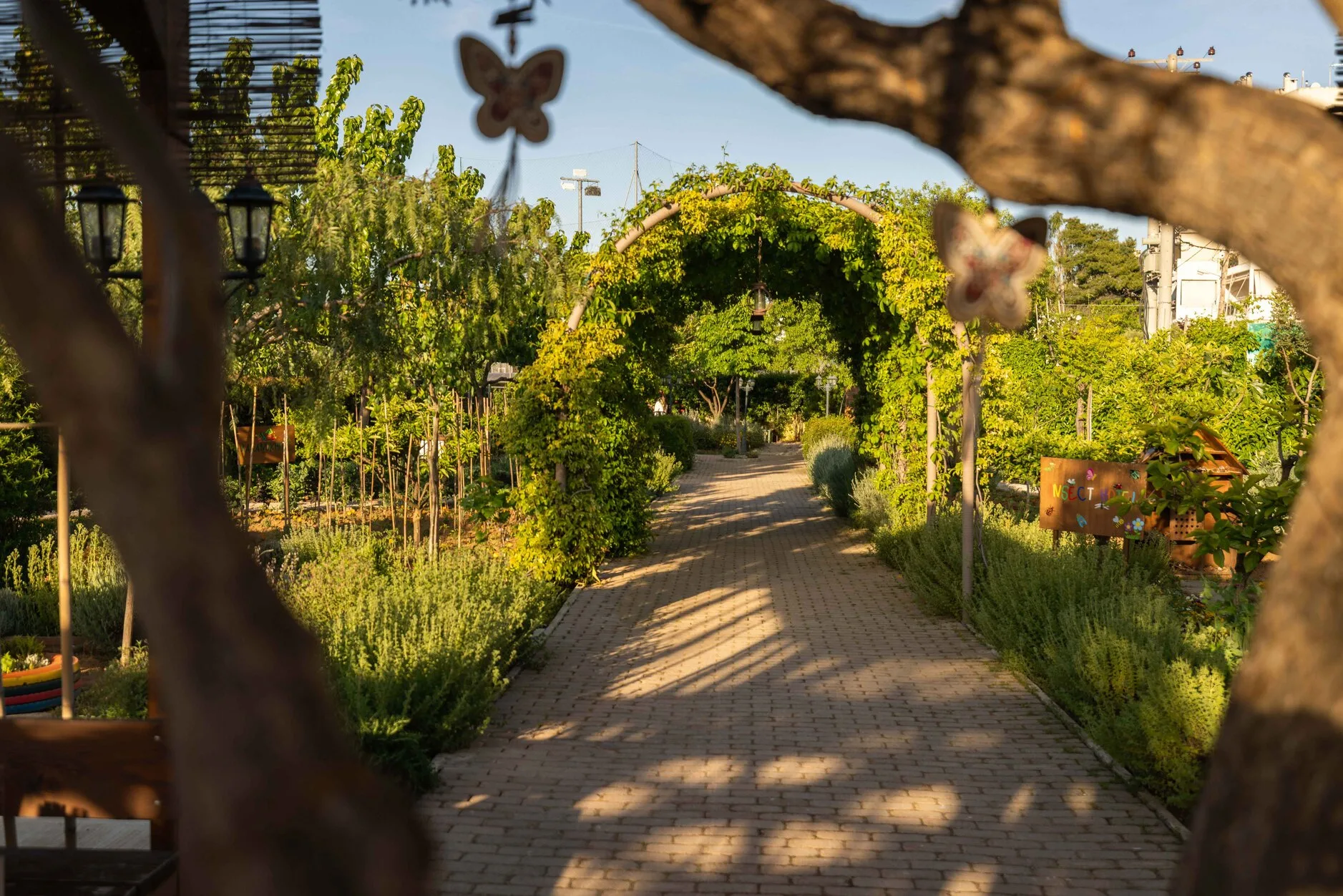 Garden Stories — Κτήμα Αρίστη 3