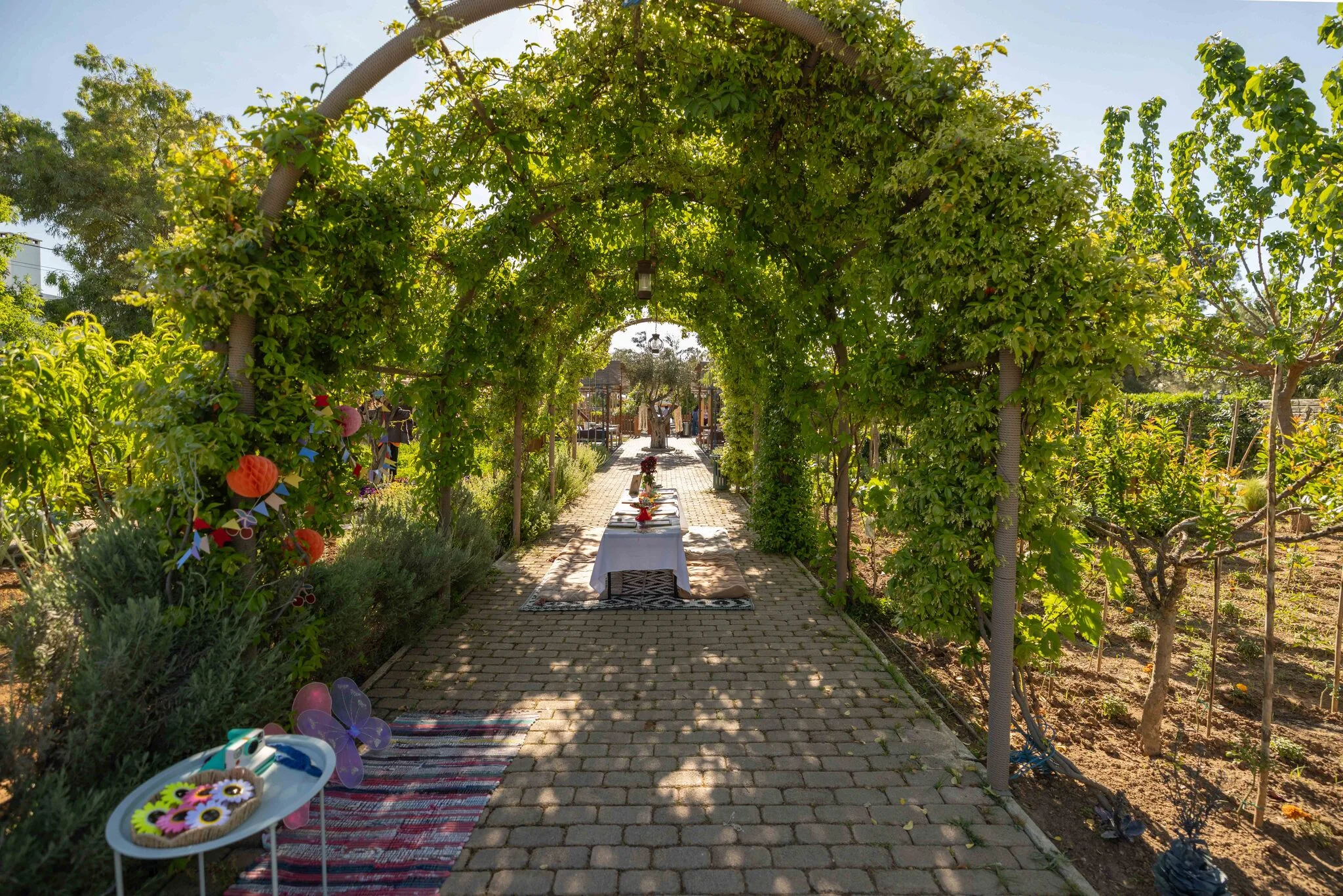 Garden Stories — Κτήμα Αρίστη 3