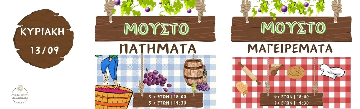ΠΑΙΔΙΚΟ ΕΡΓΑΣΤΗΡΙΟ ΜΟΥΣΤΟΠΑΤΗΜΑΤΑ 13/809/26 ΚΤΗΜΑ ΑΡΙΣΤΗ
